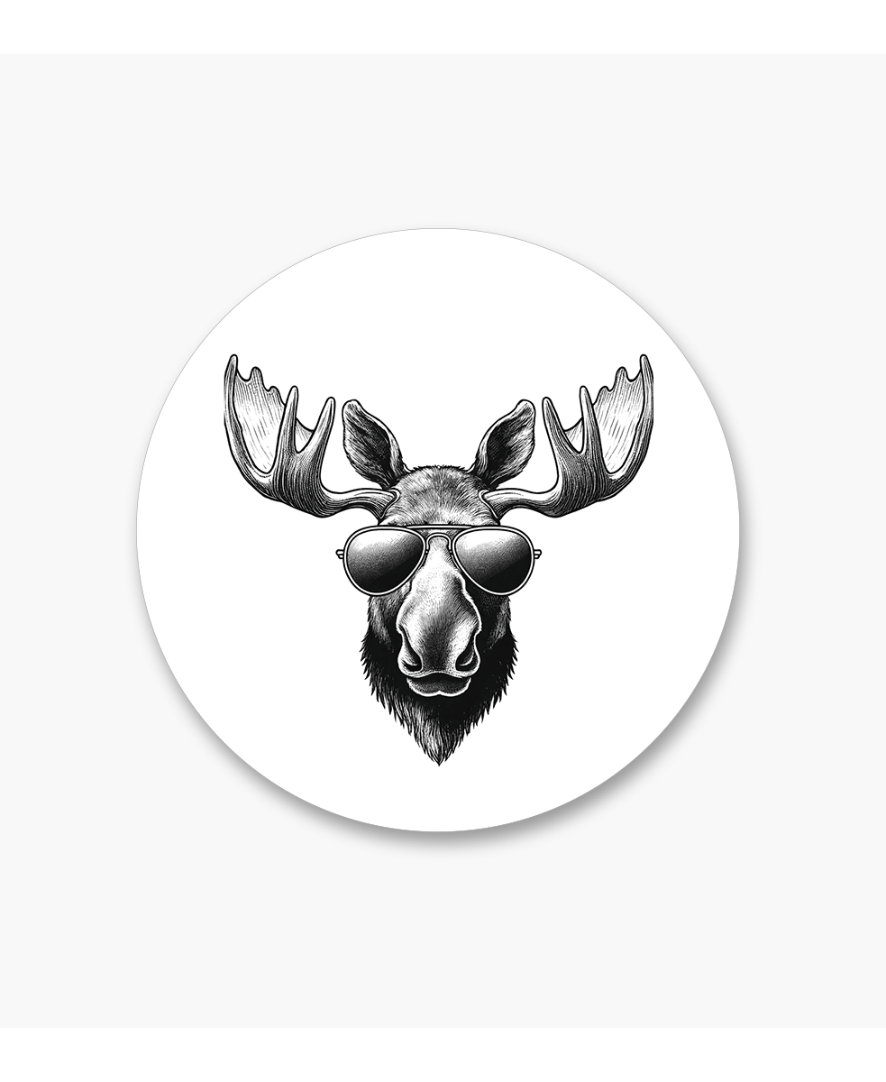 Untersetzer «Wildlife Tiere»